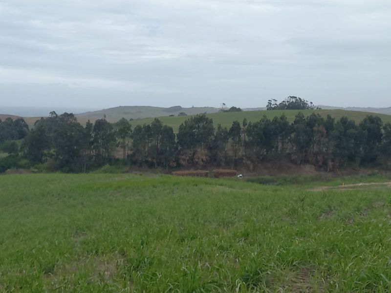 Vacant Land Residential For Sale in Tinley Manor - Photo 5