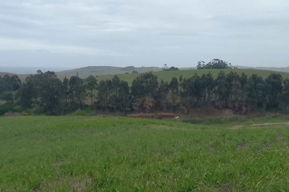 Vacant Land Residential For Sale in Tinley Manor - Photo 5