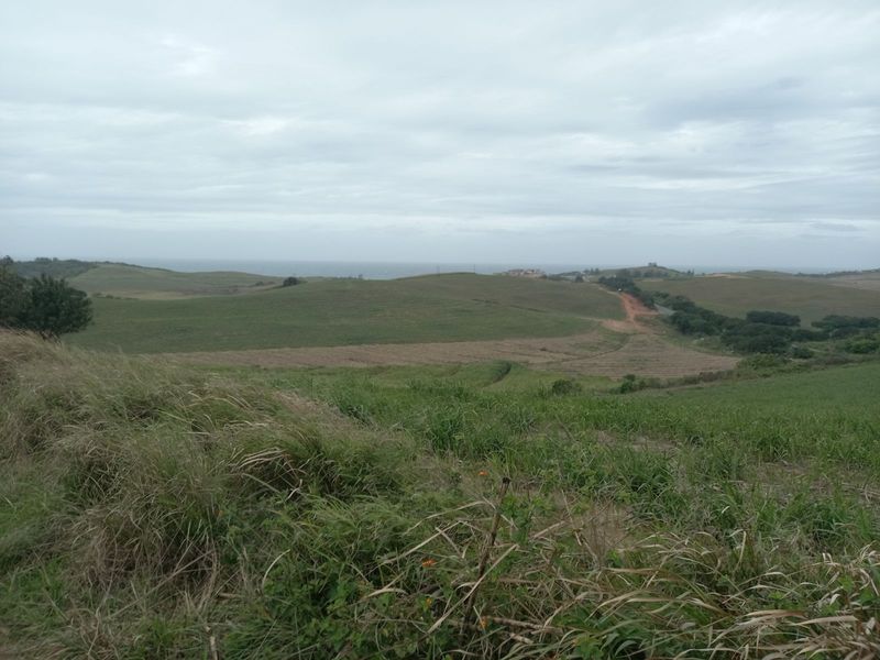 Vacant Land Residential For Sale in Tinley Manor - Photo 2