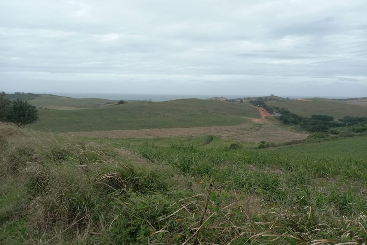 Vacant Land Residential For Sale in Tinley Manor - Photo 2