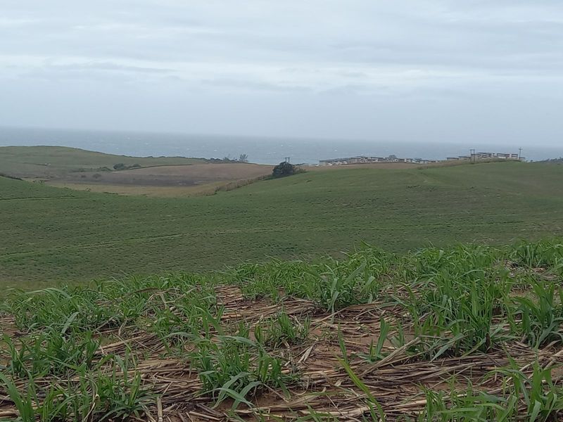 Vacant Land Residential For Sale in Tinley Manor - Photo 3