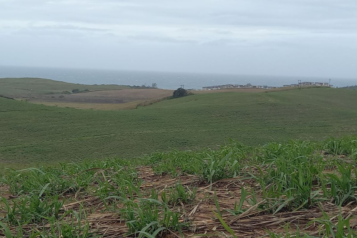 Vacant Land Residential For Sale in Tinley Manor - Photo 3