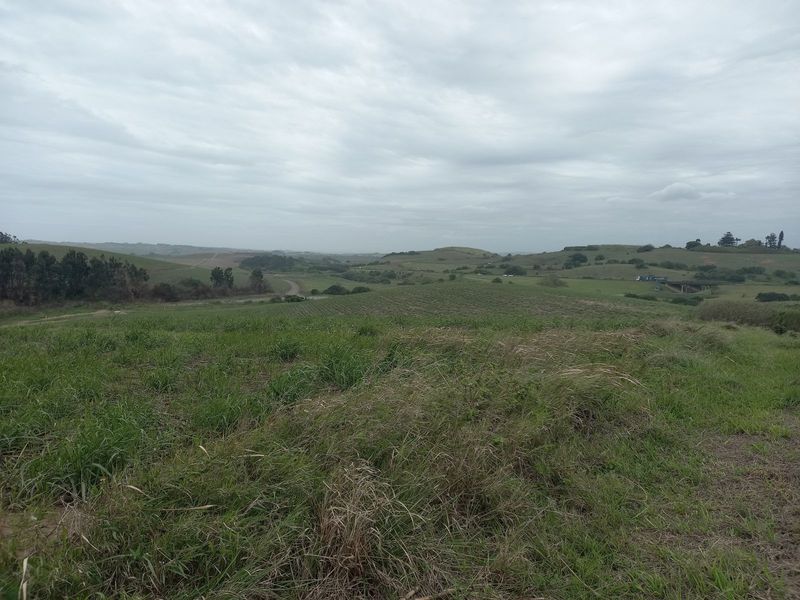 Vacant Land Residential For Sale in Tinley Manor - Photo 7