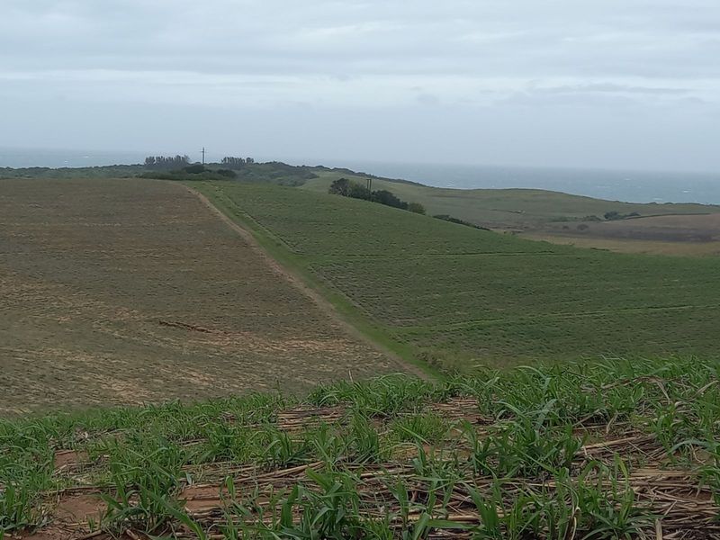 Vacant Land Residential For Sale in Tinley Manor - Photo 6