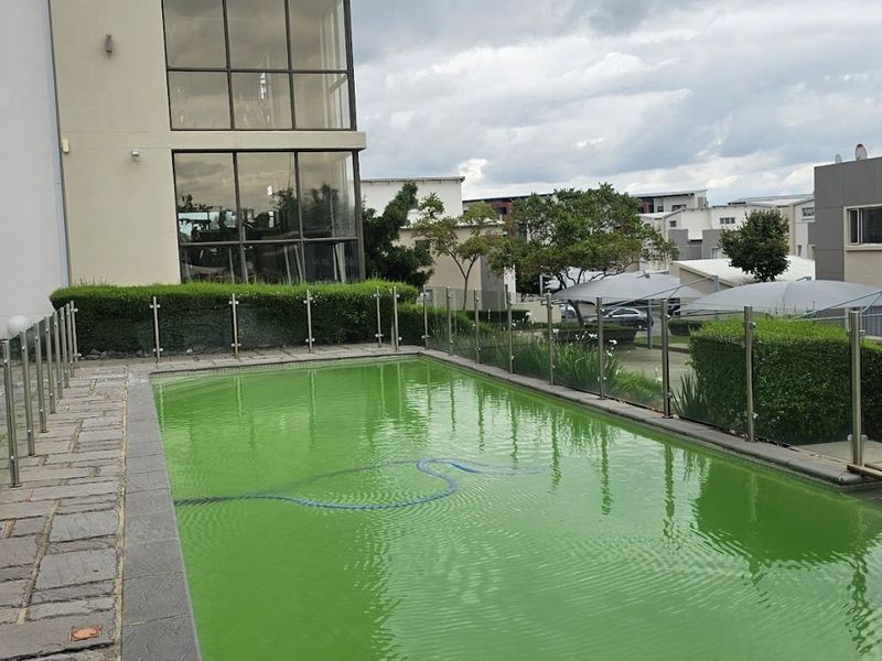 Apartment To Rent in Beverley - Photo 5