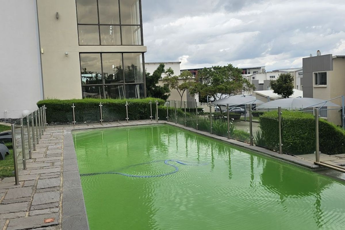 Apartment To Rent in Beverley - Photo 5