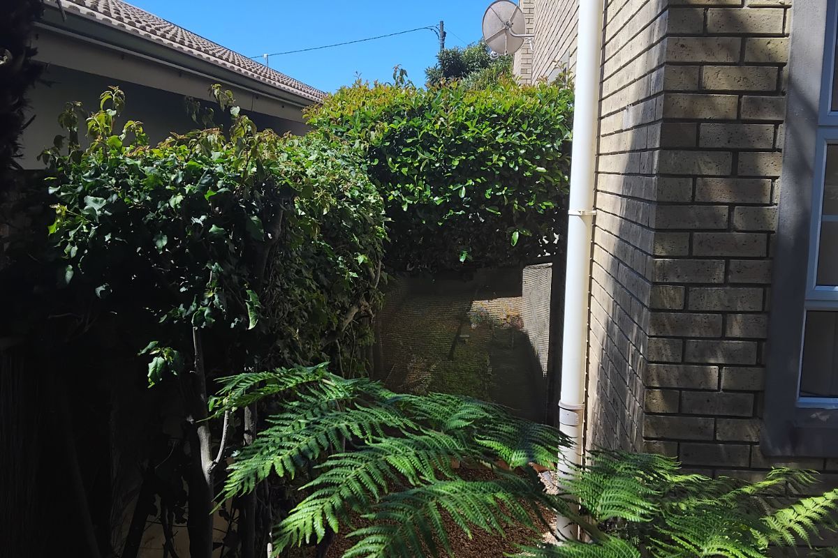 House For Sale in Albertinia Central - Photo 3