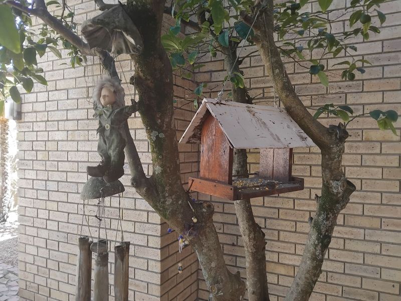 House For Sale in Albertinia Central - Photo 7