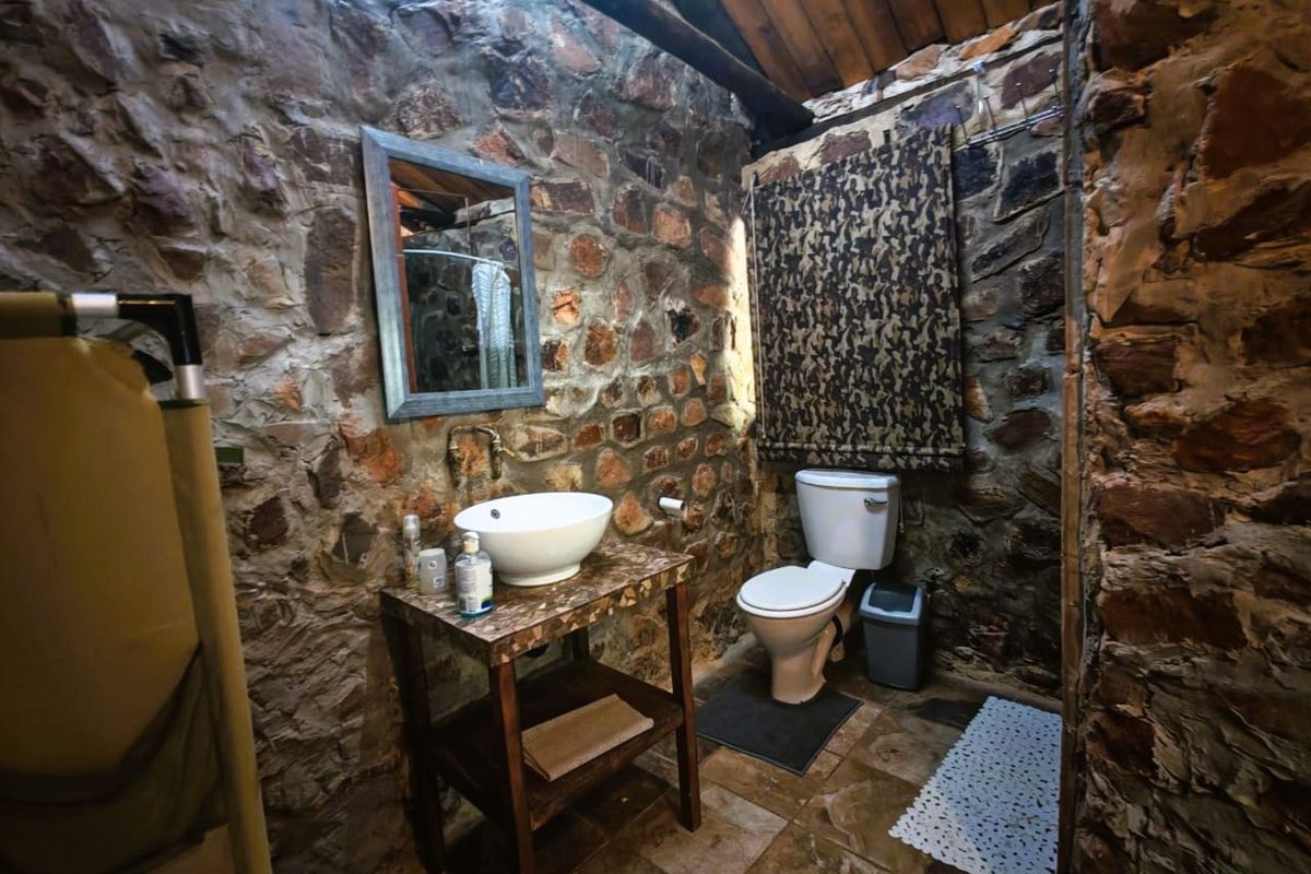 Rustic bathroom featuring exposed natural stone walls, a vessel sink vanity, and a toilet, complemented by a timber-lined ceiling.