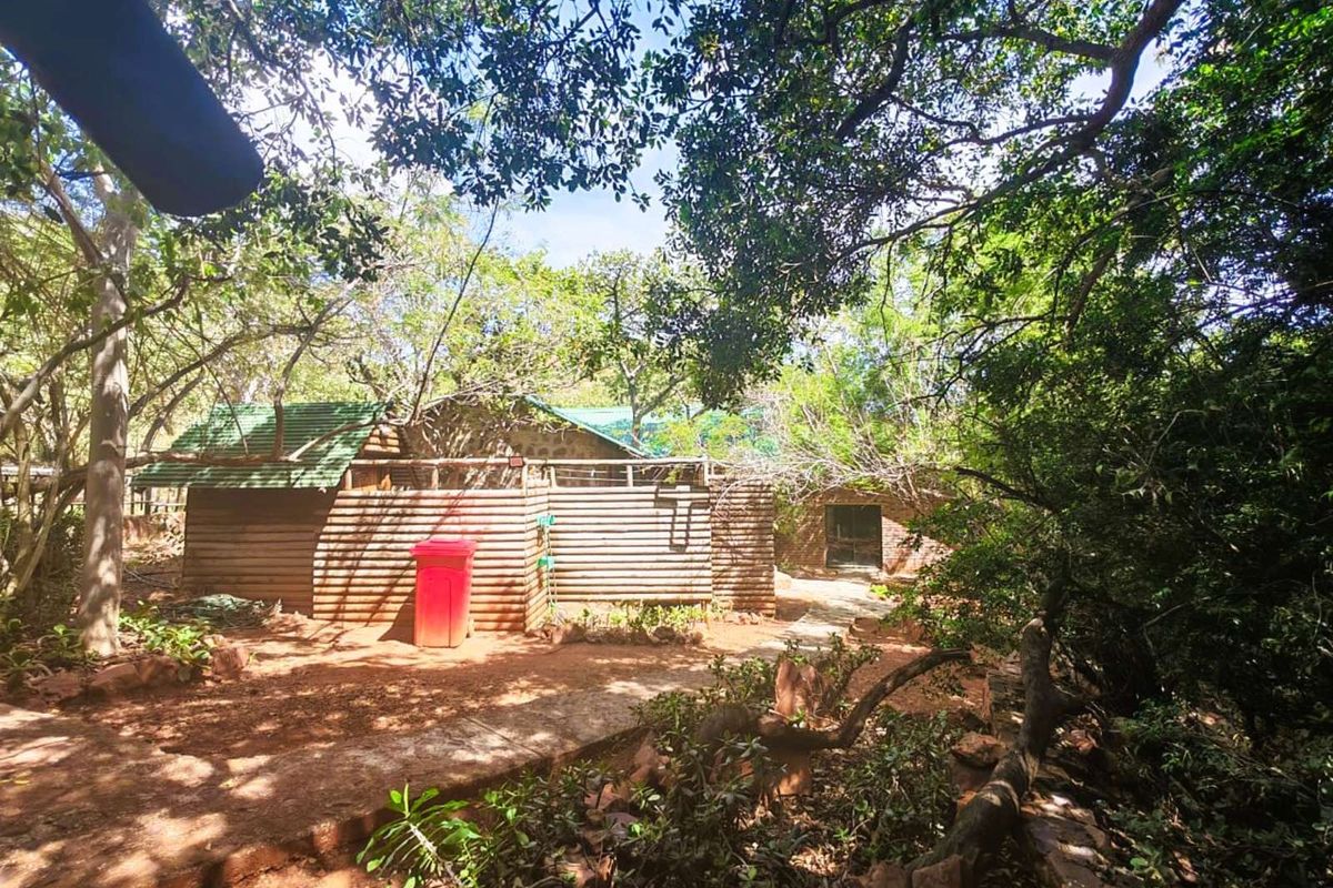 A rustic exterior view of a dwelling featuring timber-clad walls and a green roof, nestled within a natural, wooded garden setting.