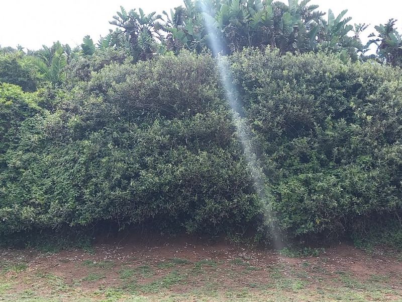 House For Sale in Tinley Manor - Photo 5