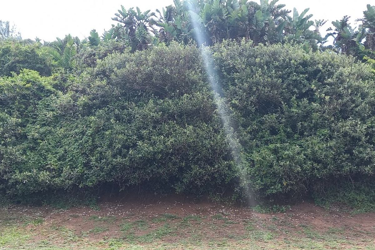 House For Sale in Tinley Manor - Photo 5