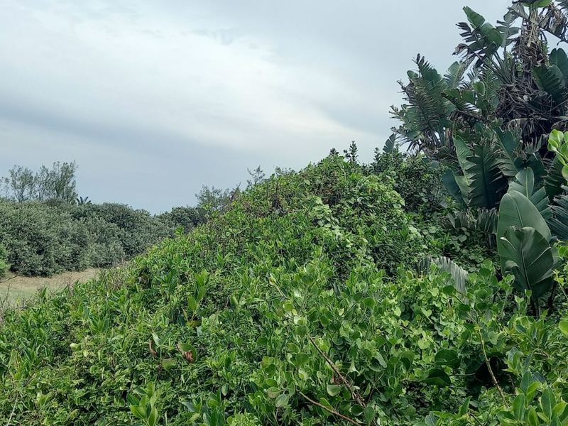 House For Sale in Tinley Manor - Photo 3