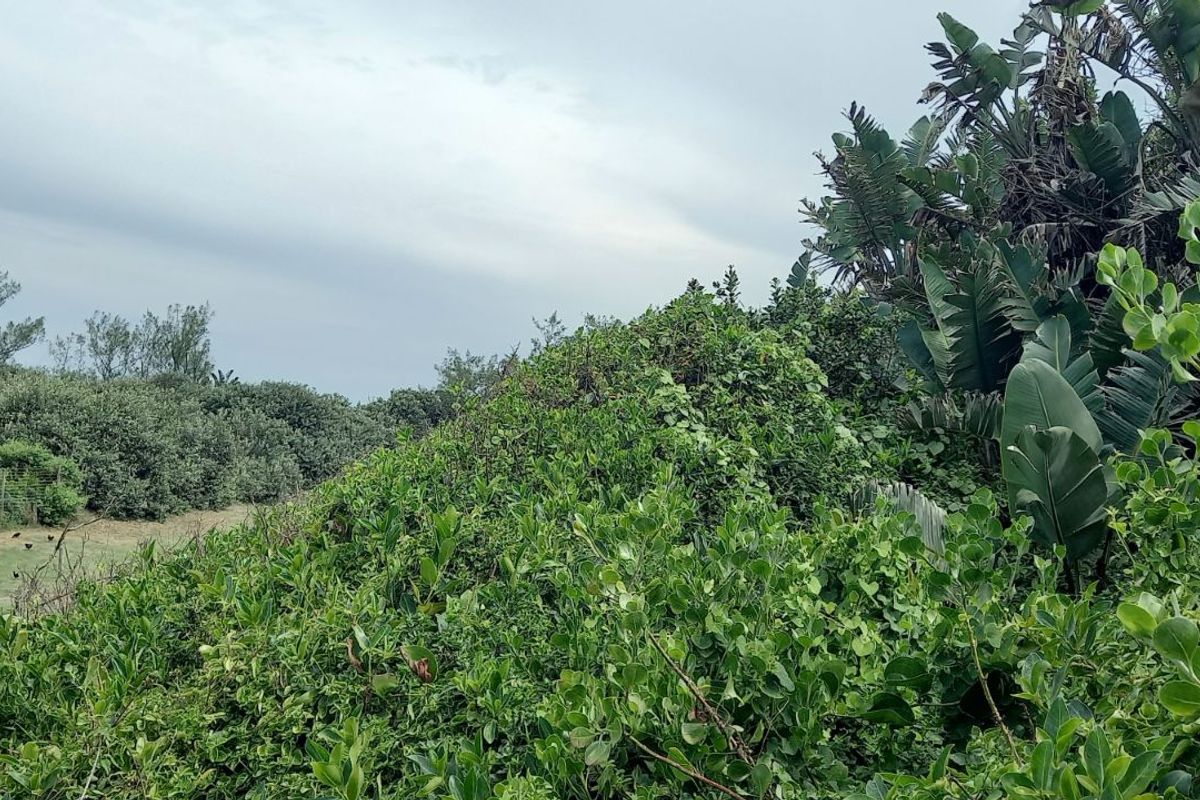 House For Sale in Tinley Manor - Photo 3