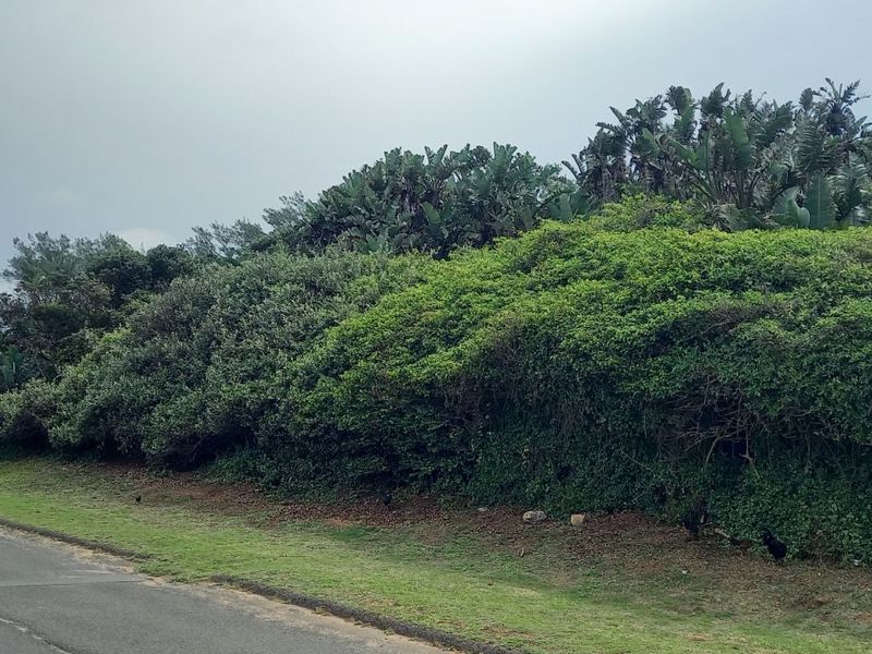 House For Sale in Tinley Manor - Photo 2