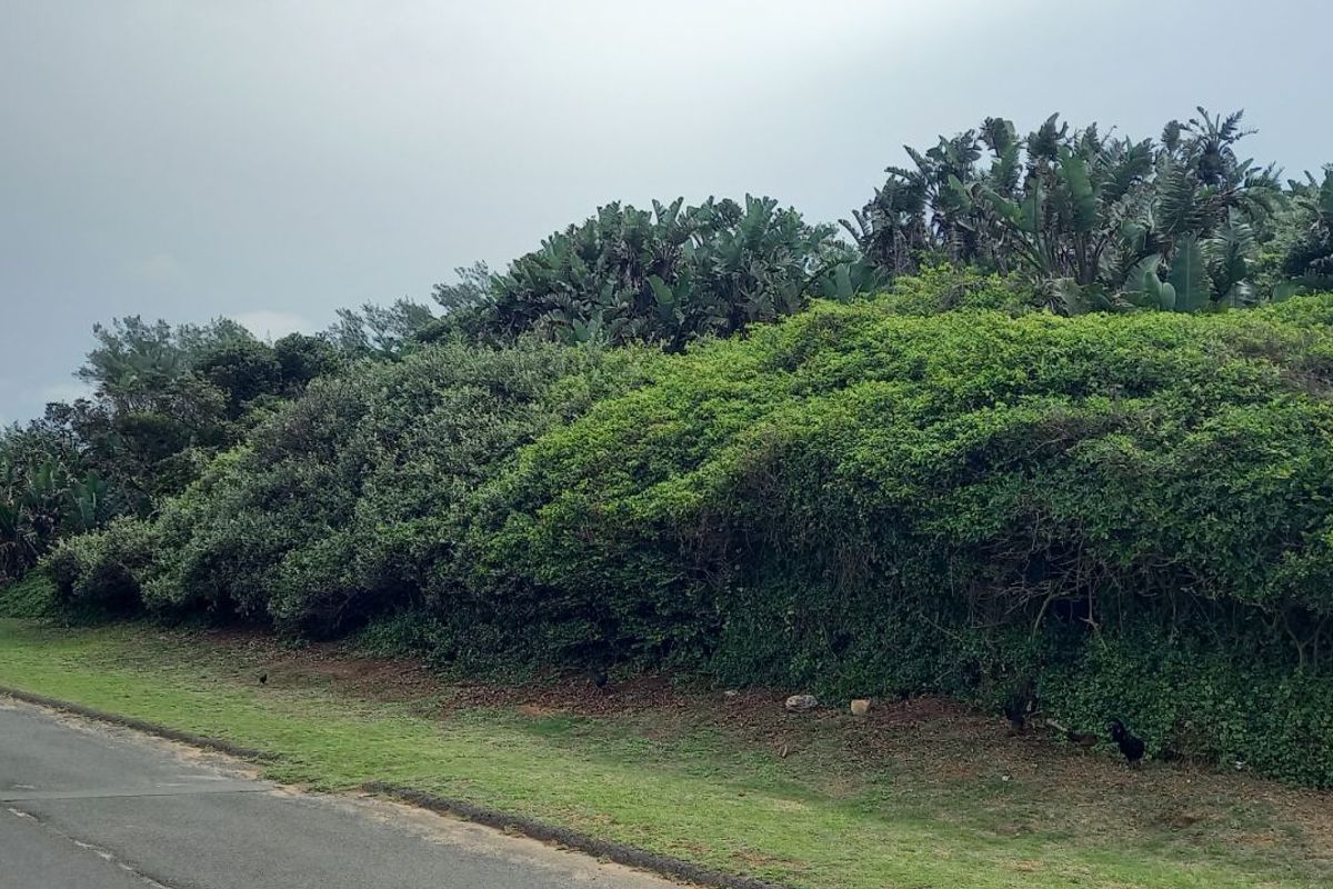 House For Sale in Tinley Manor - Photo 2