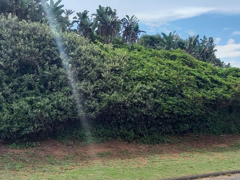 House For Sale in Tinley Manor - Photo 6