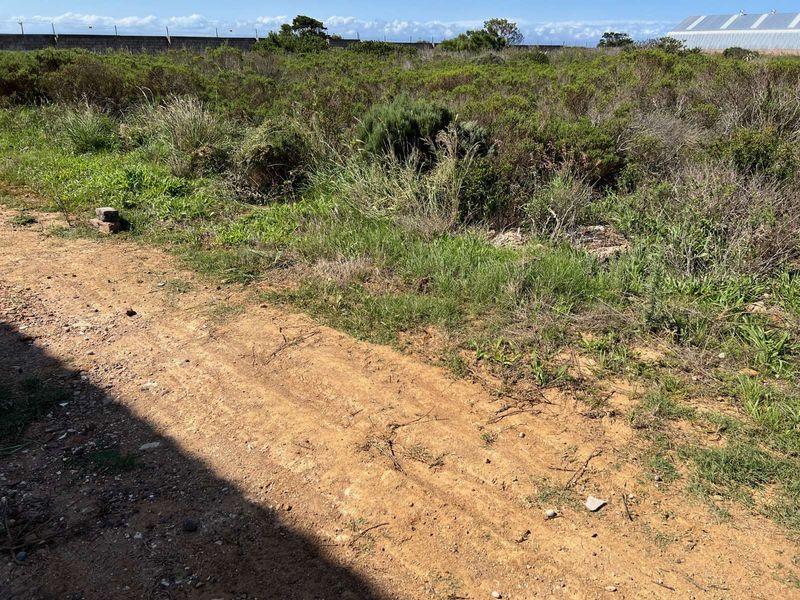 Industrial For Sale in Kwanonqaba - Photo 2