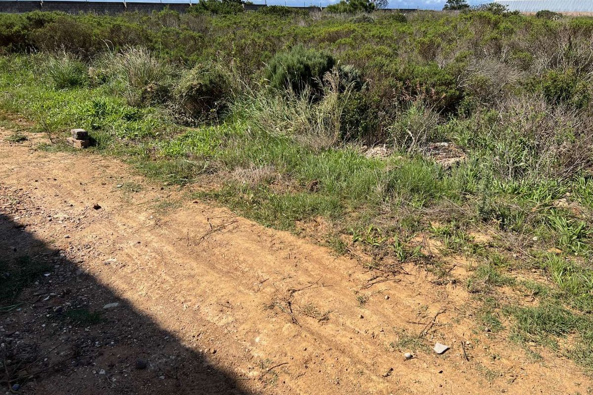 Industrial For Sale in Kwanonqaba - Photo 2