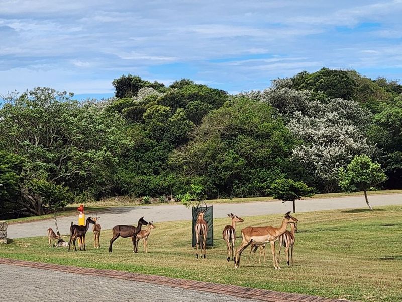 Vacant Land Residential For Sale in Khamanga Bay - Photo 6