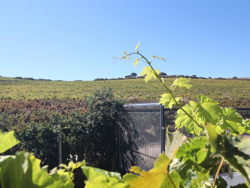 House For Sale in Lyndoch - Photo 7