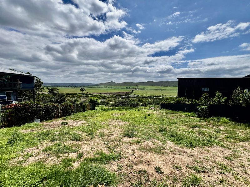 Vacant Land Residential For Sale in Reebok - Photo 3