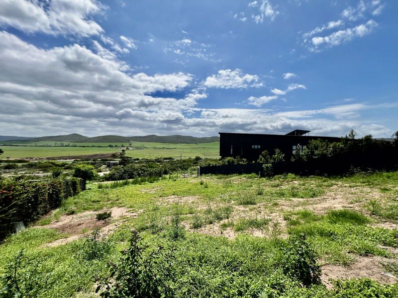 Vacant Land Residential For Sale in Reebok - Photo 2