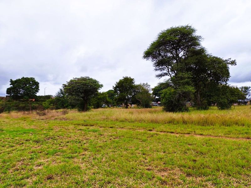 Business For Sale in Mookgopong Central - Photo 6