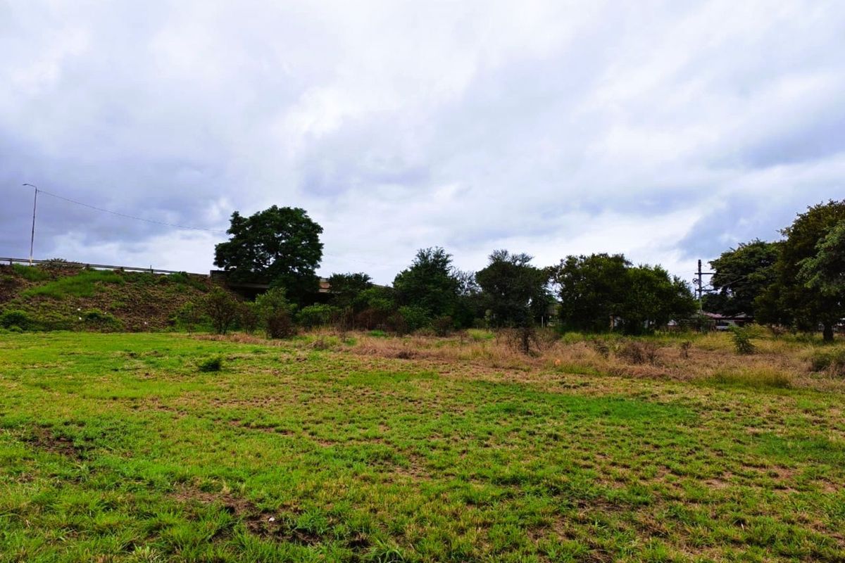 Business For Sale in Mookgopong Central - Photo 5