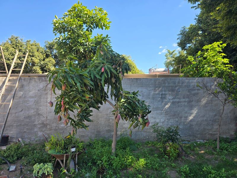 House For Sale in Annadale - Photo 4