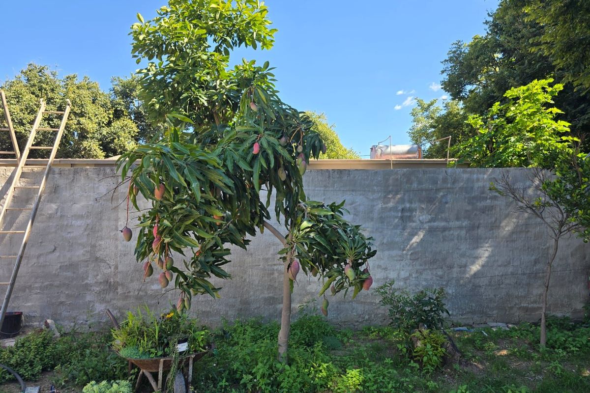 House For Sale in Annadale - Photo 4