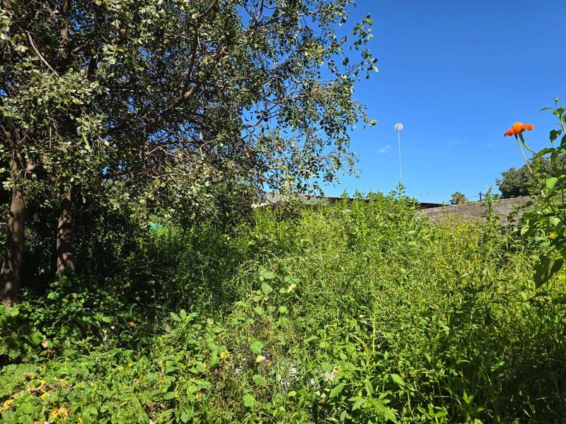 House For Sale in Annadale - Photo 8