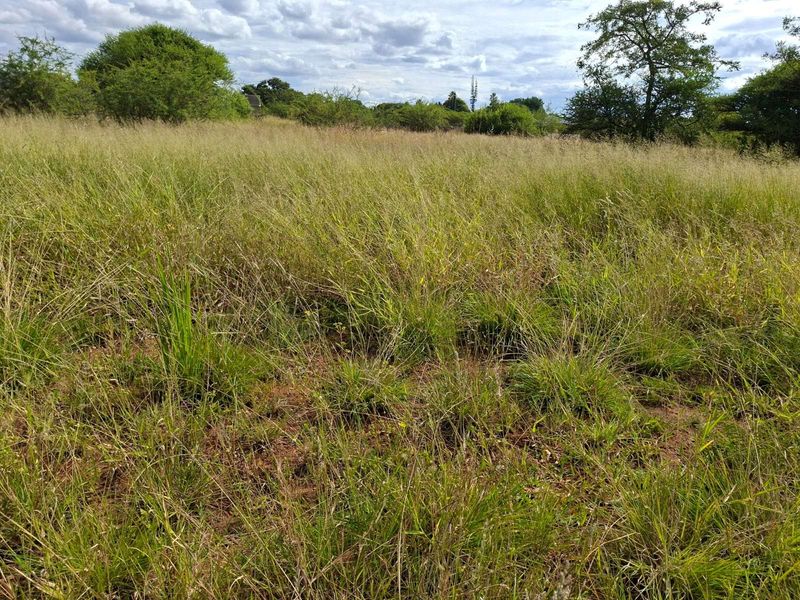 Vacant Land Residential For Sale in Bendor - Photo 3