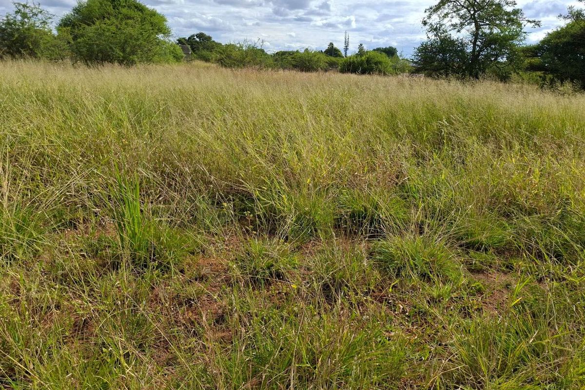 Vacant Land Residential For Sale in Bendor - Photo 3