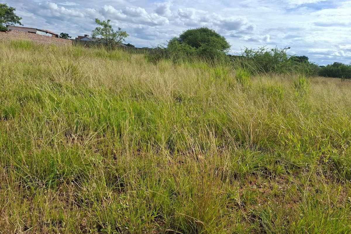 Vacant Land Residential For Sale in Bendor - Photo 4