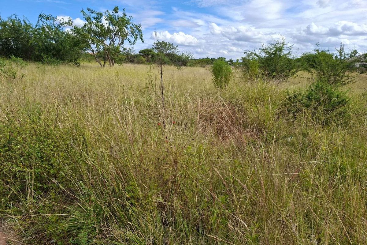 Vacant Land Residential For Sale in Bendor - Photo 5