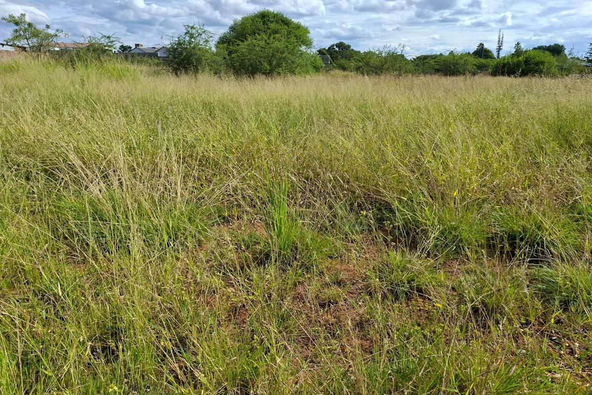 Vacant Land Residential For Sale in Bendor - Photo 2