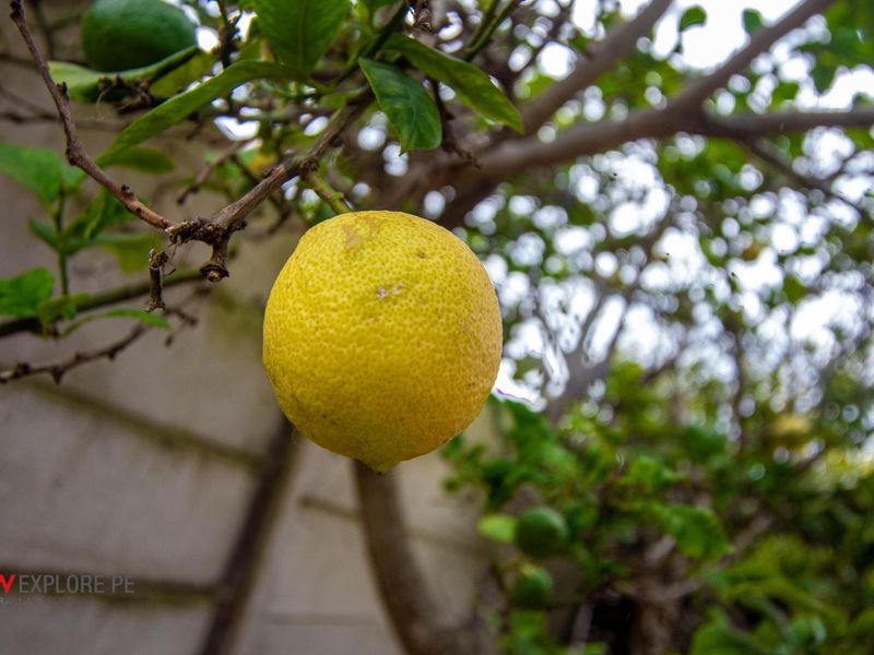 House For Sale in Summerstrand - Photo 6