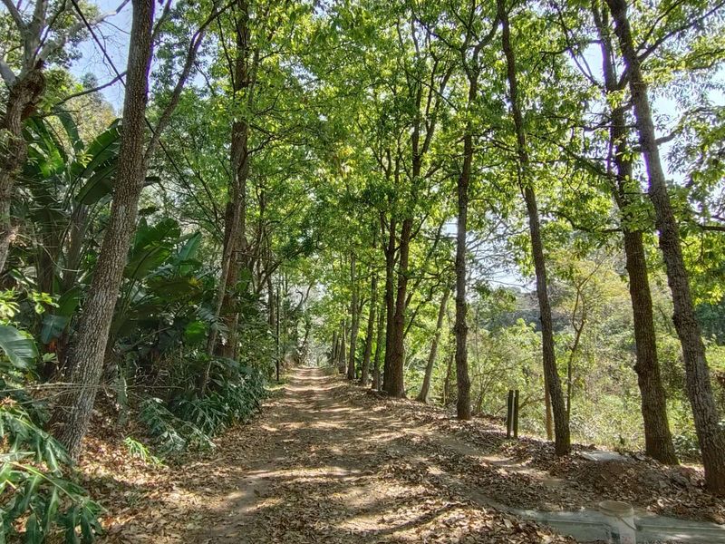 Vacant Land Residential For Sale in Waterfall - Photo 4