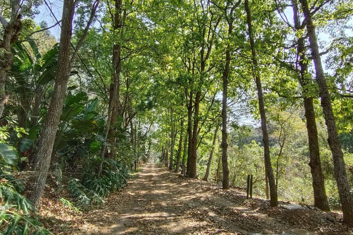 Vacant Land Residential For Sale in Waterfall - Photo 4