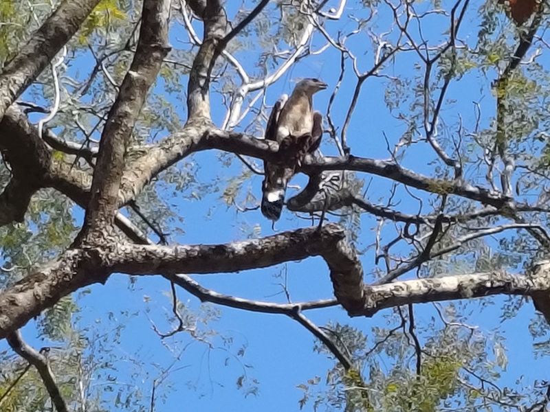 Vacant Land Residential For Sale in Waterfall - Photo 3