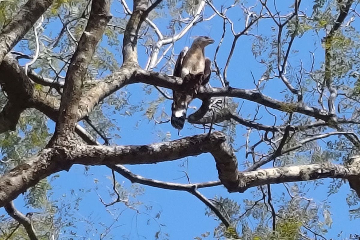 Vacant Land Residential For Sale in Waterfall - Photo 3