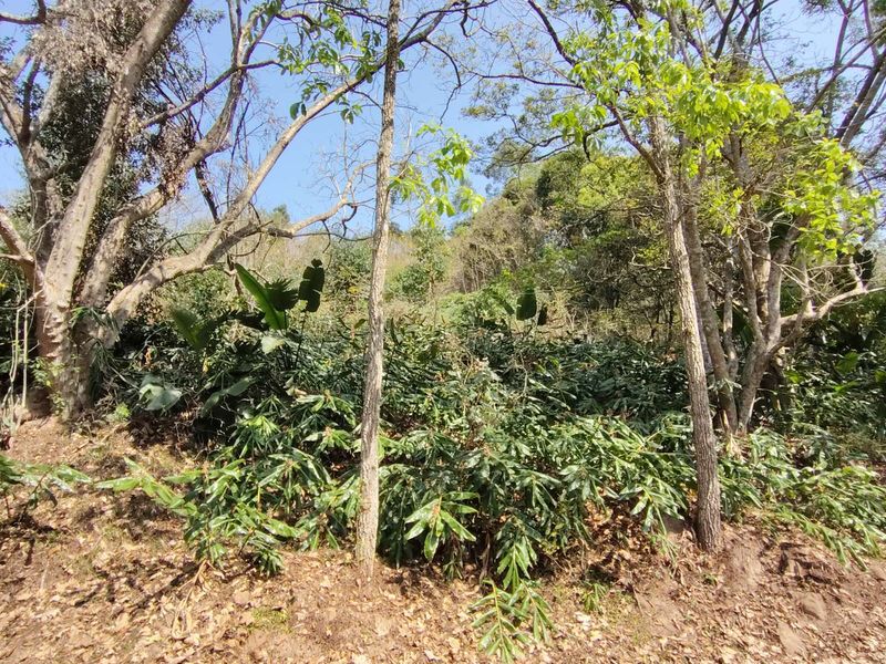 Vacant Land Residential For Sale in Waterfall - Photo 2