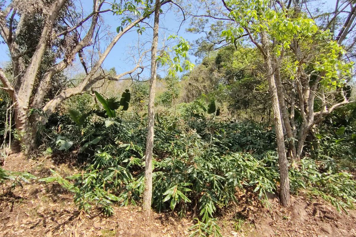 Vacant Land Residential For Sale in Waterfall - Photo 2