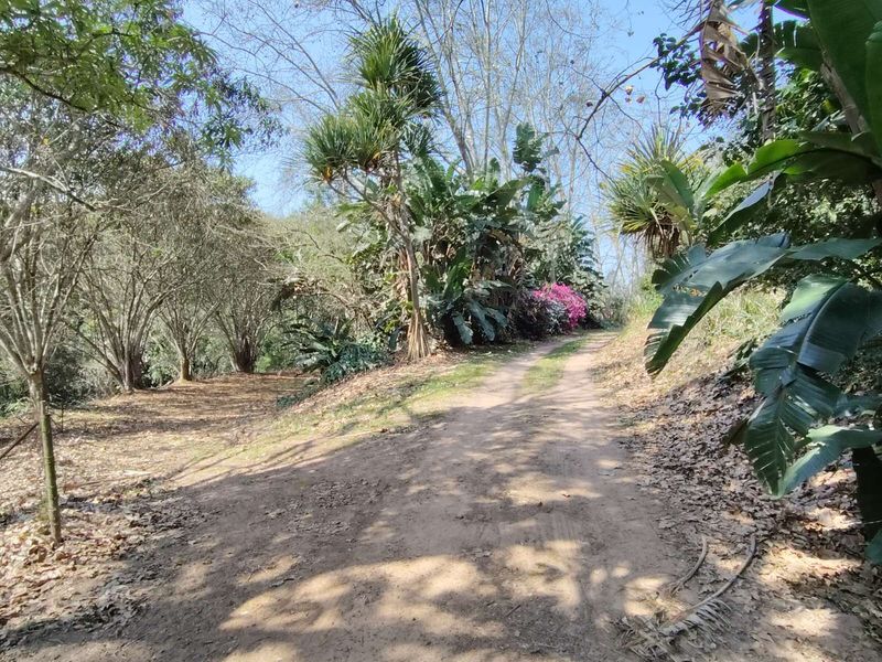 Vacant Land Residential For Sale in Waterfall - Photo 5