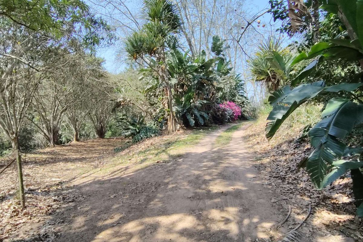 Vacant Land Residential For Sale in Waterfall - Photo 5