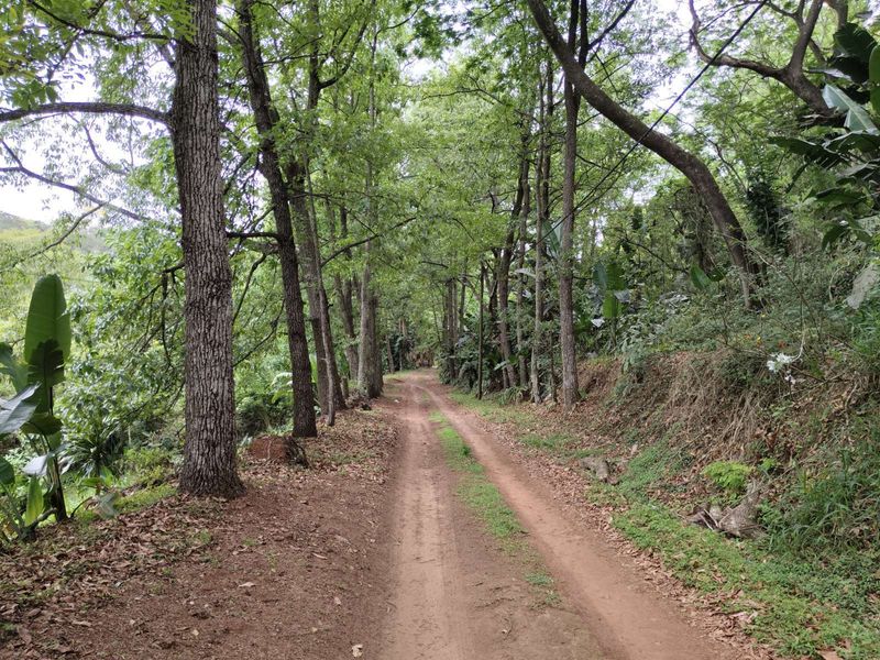 Vacant Land Residential For Sale in Waterfall - Photo 6