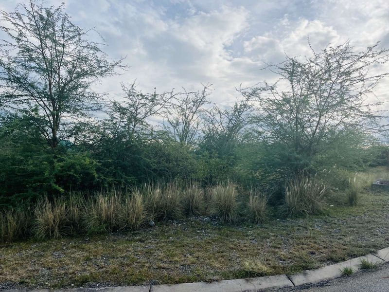 Vacant Land Residential For Sale in Motaganeng Estate - Photo 4