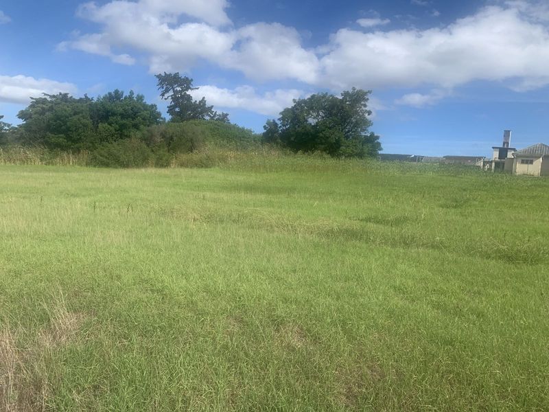 Vacant Land Residential For Sale in Albertinia Central - Photo 2