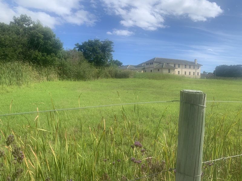 Vacant Land Residential For Sale in Albertinia Central - Photo 3